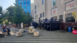 policie zázemí